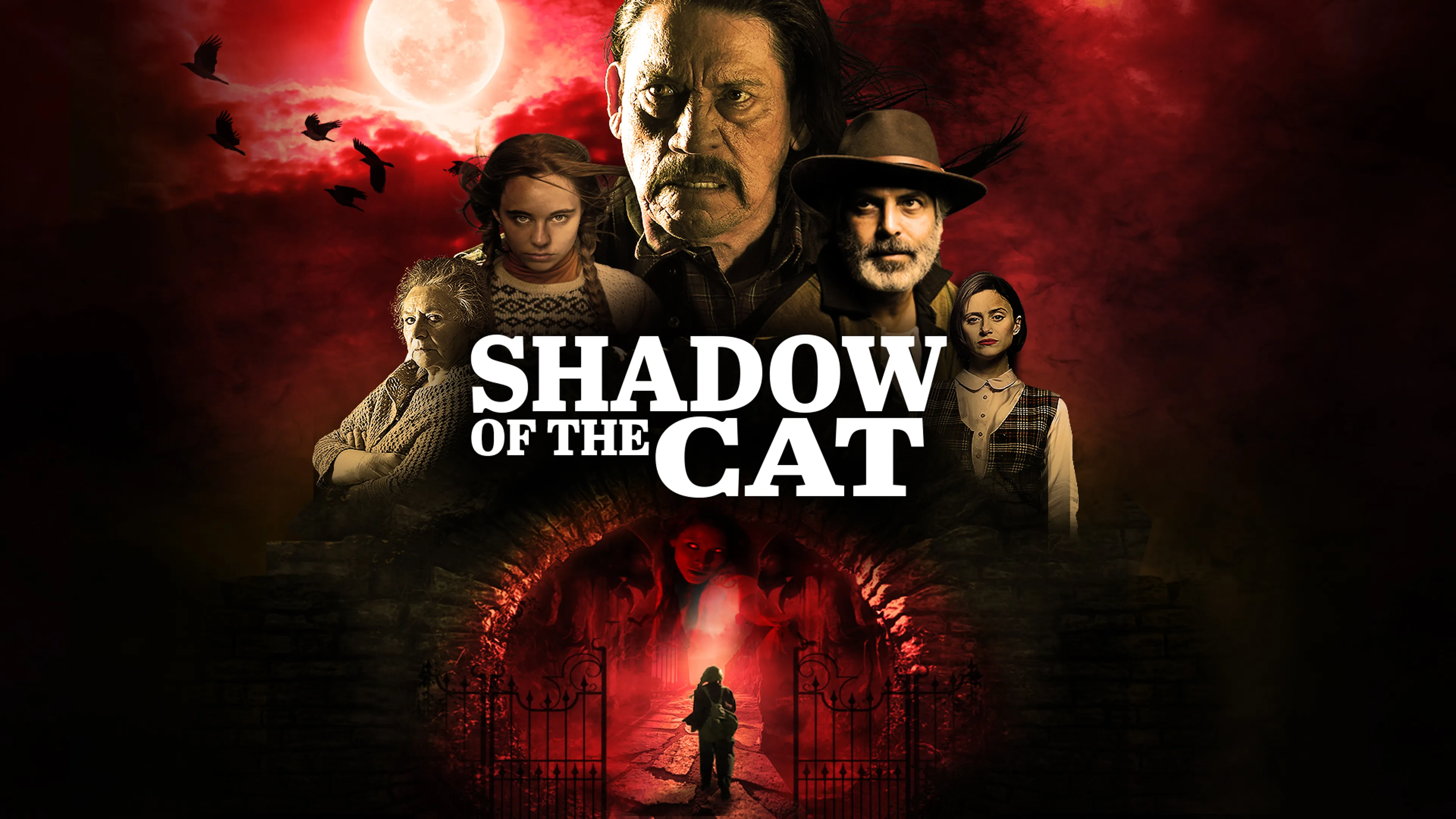 The Shadow of The Cat poster